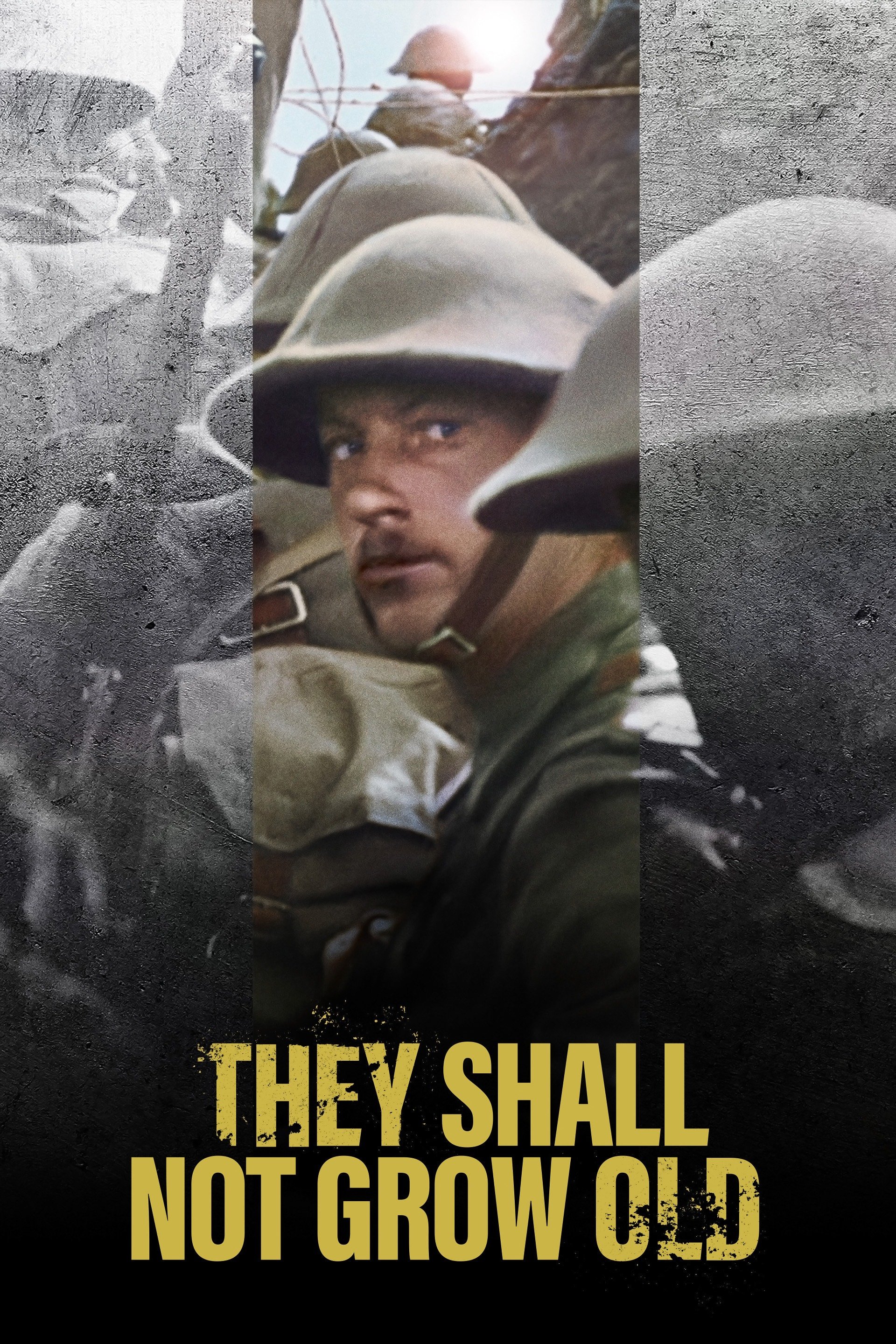 They Shall Not Grow Old (2018) [308551] (A1749057825) [[Movies]] --Plex--